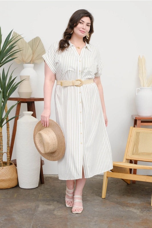 Plus Stripe Button Down Belted Midi Shirt Dress Olive